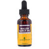 Herb Pharm, Alho Mullein, óleo puro para ouvidos, 1 fl oz (30 ml)