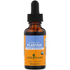 Herb Pharm, Plantain, Fresh Leaf, 1 fl oz (30 ml)