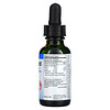 Herbs Etc.‏, ChlorOxygen®، كلوروفيل مركز، خالٍ من الكحول، 1 أونصة سائلة (30 مل)