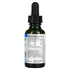 Herbs Etc., ChlorOxygen, Chlorophyll Concentrate, Alcohol Free, Mint, 1 fl oz (30 ml)