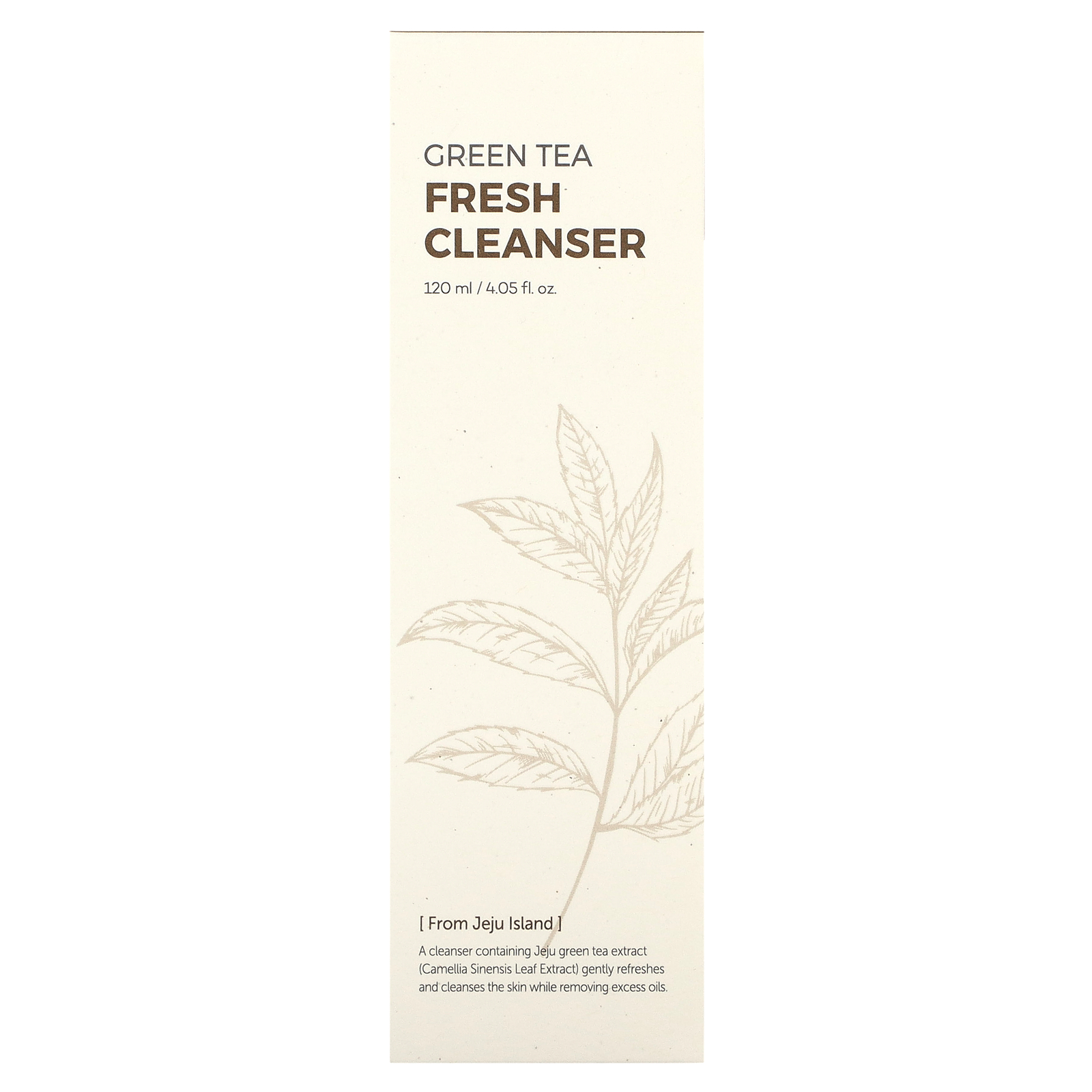 Isntree, Green Tea Fresh Cleanser, 4.05 fl oz (120 ml)
