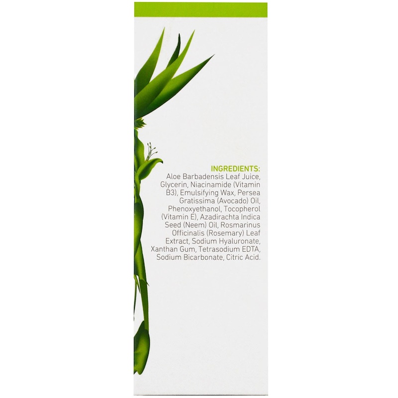 InstaNatural, Niacinamide Serum, Dry & Delicate, 2 fl oz (60 ml) iHerb