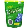 Karen's Naturals‏, Organic Just Blueberries, Freeze-Dried Fruit, 2 oz (56 g)
