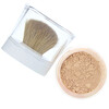 L'Oreal, True Match Mineral Foundation, SPF 19, W1-2/458 Light Ivory , .35 oz (10 g)