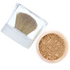 L'Oreal, True Match Mineral Foundation, W6-7/468 Sun Beige, .35 oz (10 g)