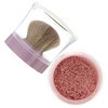 L'Oreal, True Match Naturale Mineral Blush, 488 Soft Rose, 0.15 oz (4.5 g)