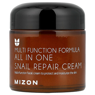 Mizon, All In One Snail Repair Cream,  2.53 fl oz (75 ml)