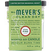 Mrs. Meyers Clean Day, 香り大豆ろうそく、アイオワ州パインの香り、4.9 oz (140 g)