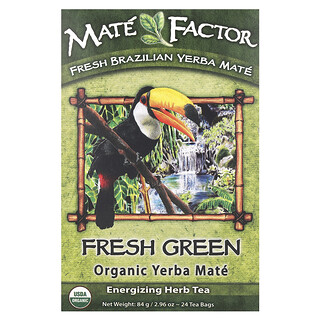 Mate Factor, Yerba Mate Organik, Hijau Segar, 24 Kantong Teh Celup, 84 g (2,96 ons)