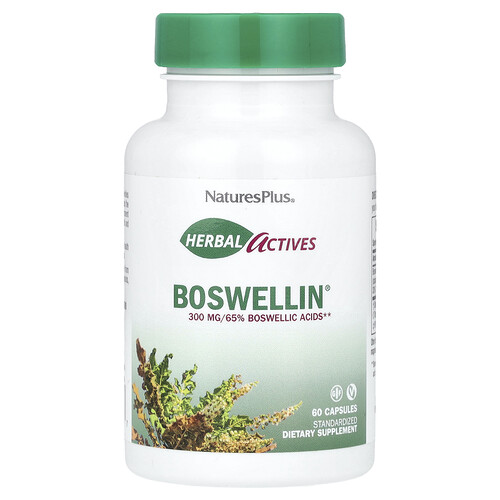 Naturesplus Herbal Actives, Boswellin®, 300 mg, 60 Capsules