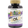 Nature's Plus, Source of Life Animal Parade, Gold, suplemento multivitamínico y de minerales masticable para niños, sabor natural a uva, 120 tabletas en forma de animales.