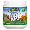 Nature's Plus, Animal Parade, Mag Kidz, 어린이 마그네슘, 천연 체리 맛, 0.37 lb (171 g)