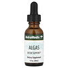 Algues, 30 ml