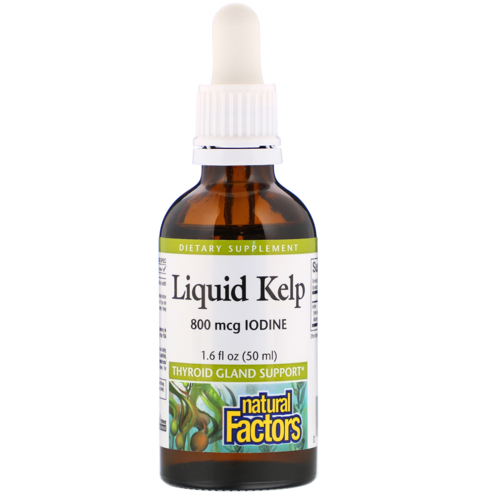 iodine with kelp drops benefits