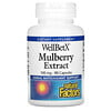 Natural Factors, WellBetX, extracto de mora, 100 mg, 90 cápsulas