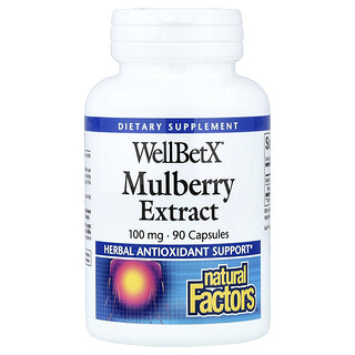 Natural Factors, WellBetX®, Extrait de mûre, 100 mg, 90 capsules
