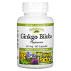 Natural Factors, Ginkgo Biloba, Phytosome, 60 mg, 60 Capsules