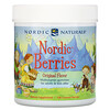 نورديك ناتورالز, Nordic Berries، علكات متعددة الفيتامينات، نكهة أصلية، 120 علكة