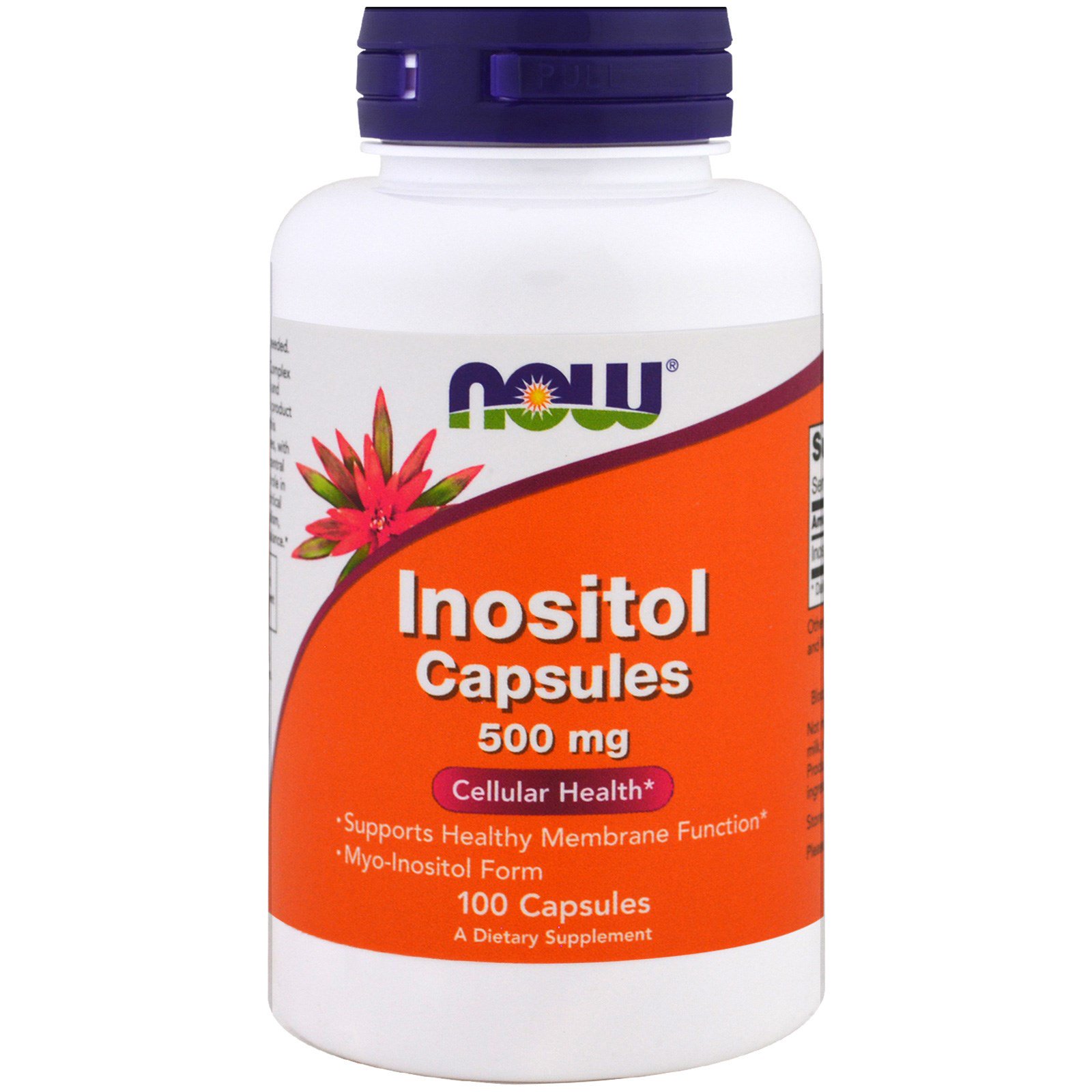 Now Foods, Inositol Capsules, 500 mg, 100 Capsules - iHerb.com