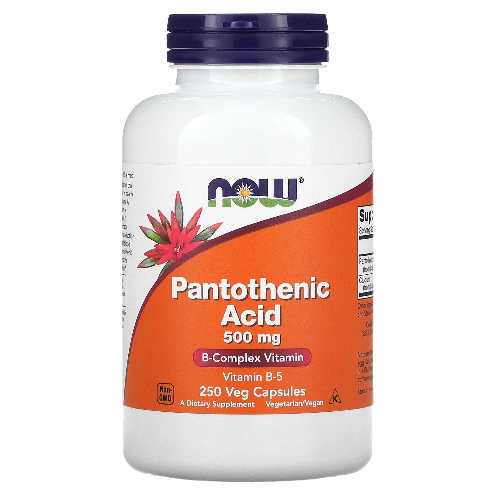 now-foods-pantothenic-acid-500-mg-250-veg-capsules