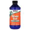 Silver Sol, 8 fl oz (237 ml)