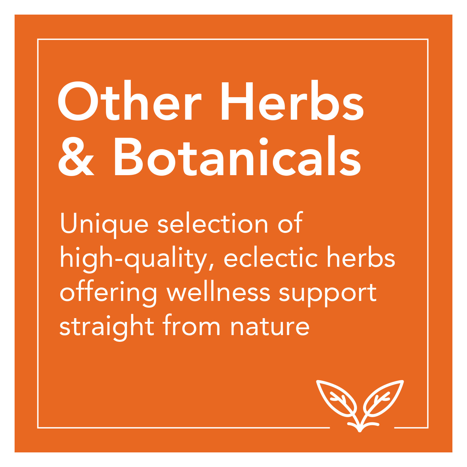 NOW Foods, Sambucus ZincC, 60 Lozenges