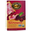 Nature's Path, オーガニック, フロステッド・トースター・ペストリー, チェリー ザクロ, 6 タルト, 各52 g