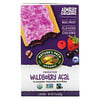 Nature's Path, Organic Toaster Pastries, Frosted Wildberry Acai, 6 Pastries, 52 g Each
