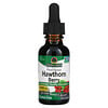 Nature's Answer, Hawthorn Extract, Alcohol-Free, 2,000 mg, 1 fl oz (30 ml)