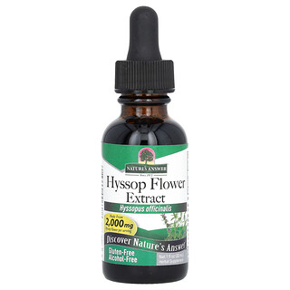 Nature's Answer, 히솝 꽃 추출물, 알코올 무함유, 505mg, 30ml(1fl oz)