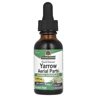 Nature's Answer, 서양 톱풀 지상부 부품, 알코올 무함유, 2,000mg, 30ml(1fl oz)