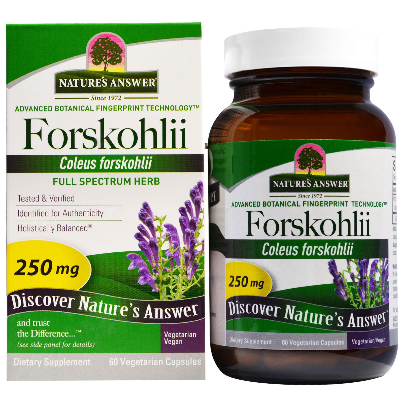 Nature's Answer, Forskohlii, 250 мг, 60 шт., вегетарианские капсулы