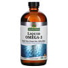 Nature's Answer, 液體歐米伽-3 脂肪酸，深海魚油 EPA/DHA，橙味，16 液量盎司（480 毫升）