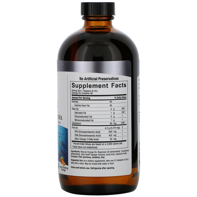 Nature's Answer, Liquid Omega3, Deep Sea Fish Oil EPA/DHA, Orange Flavor, 16 fl oz (480 ml) iHerb