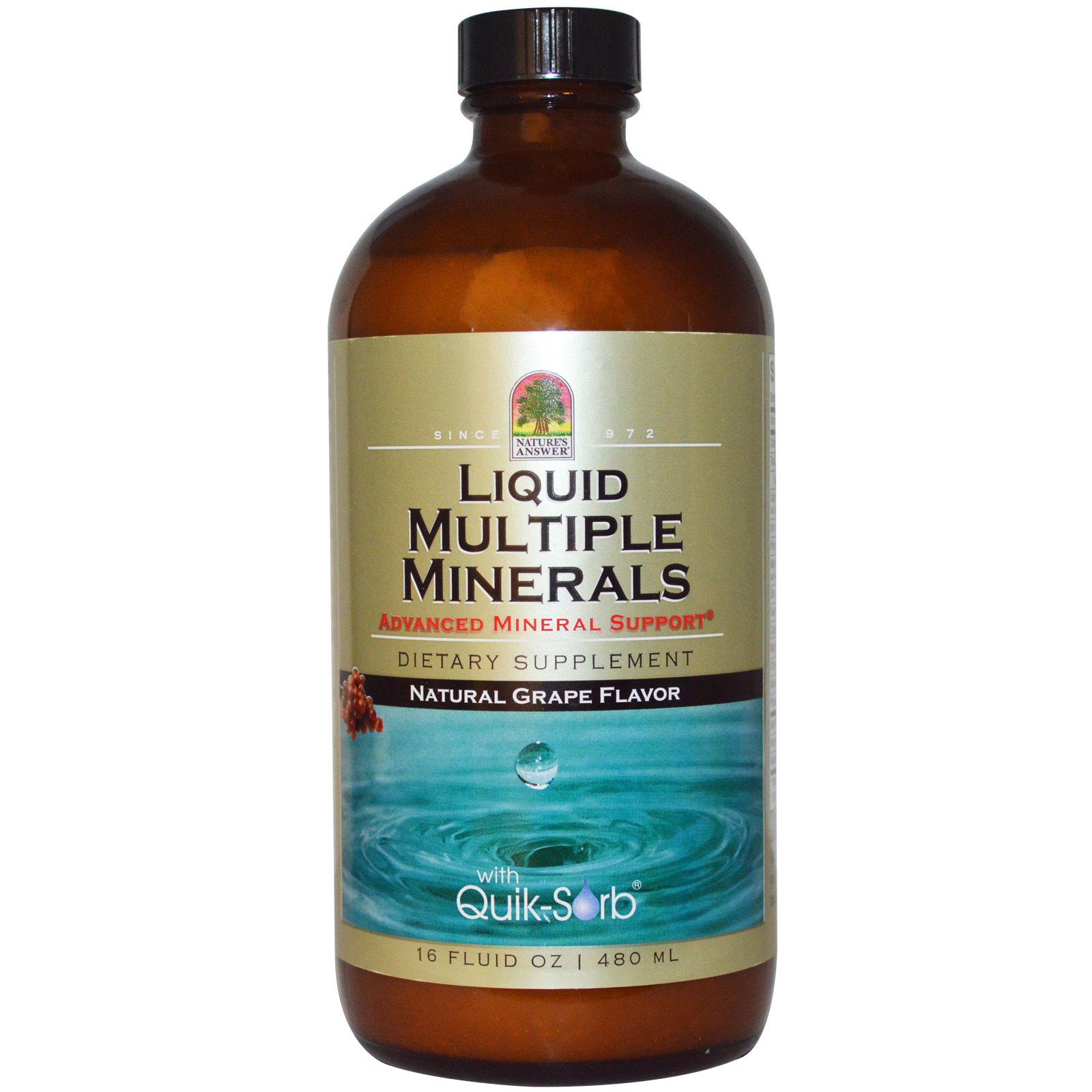 Nature's Answer, Liquid Multiple Minerals, Natural Grape Flavor, 16 fl