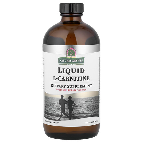 Nature's Answer Liquid L-Carnitine, 16 fl oz (480 ml)