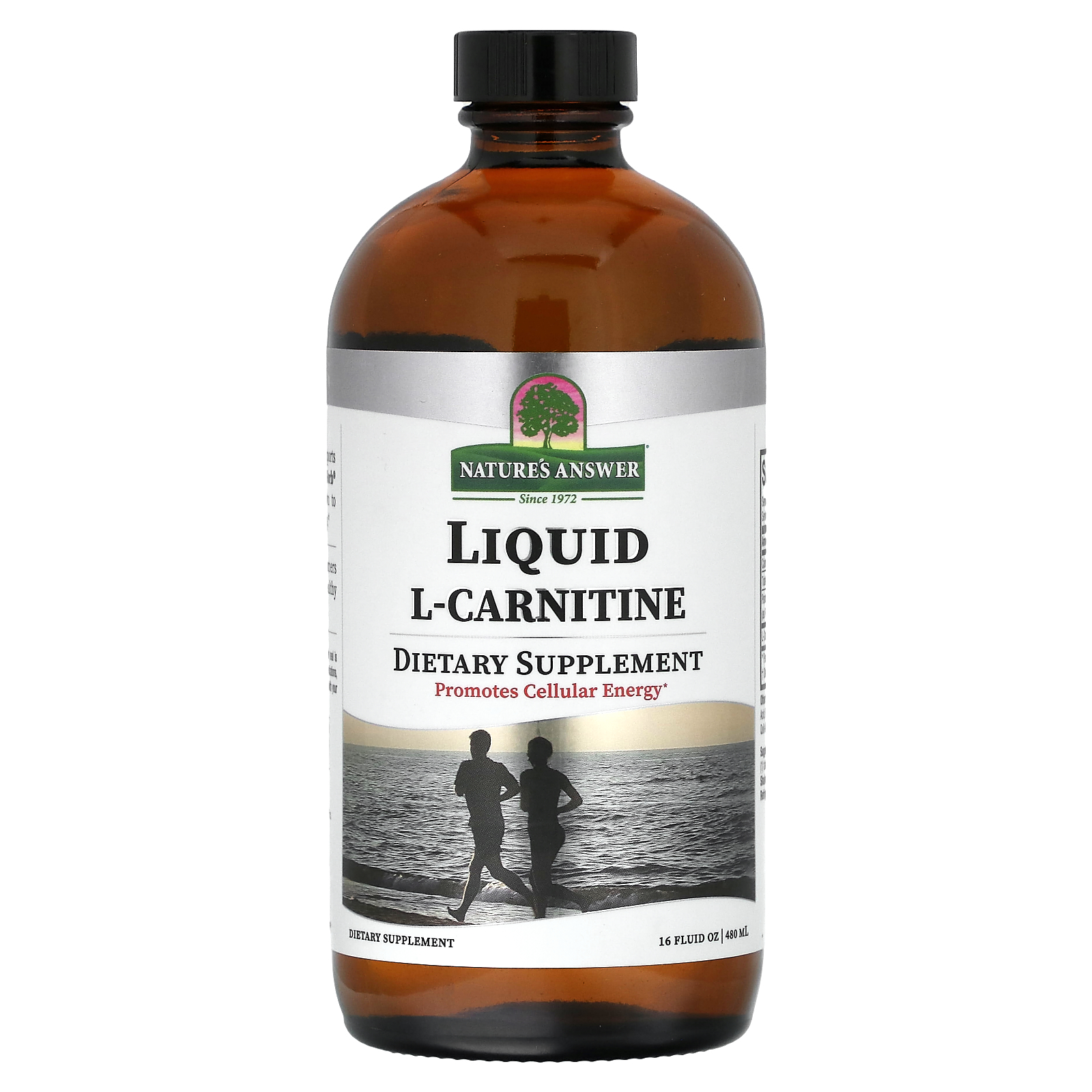Liquid L-Carnitine, 16 fl oz (480 ml)