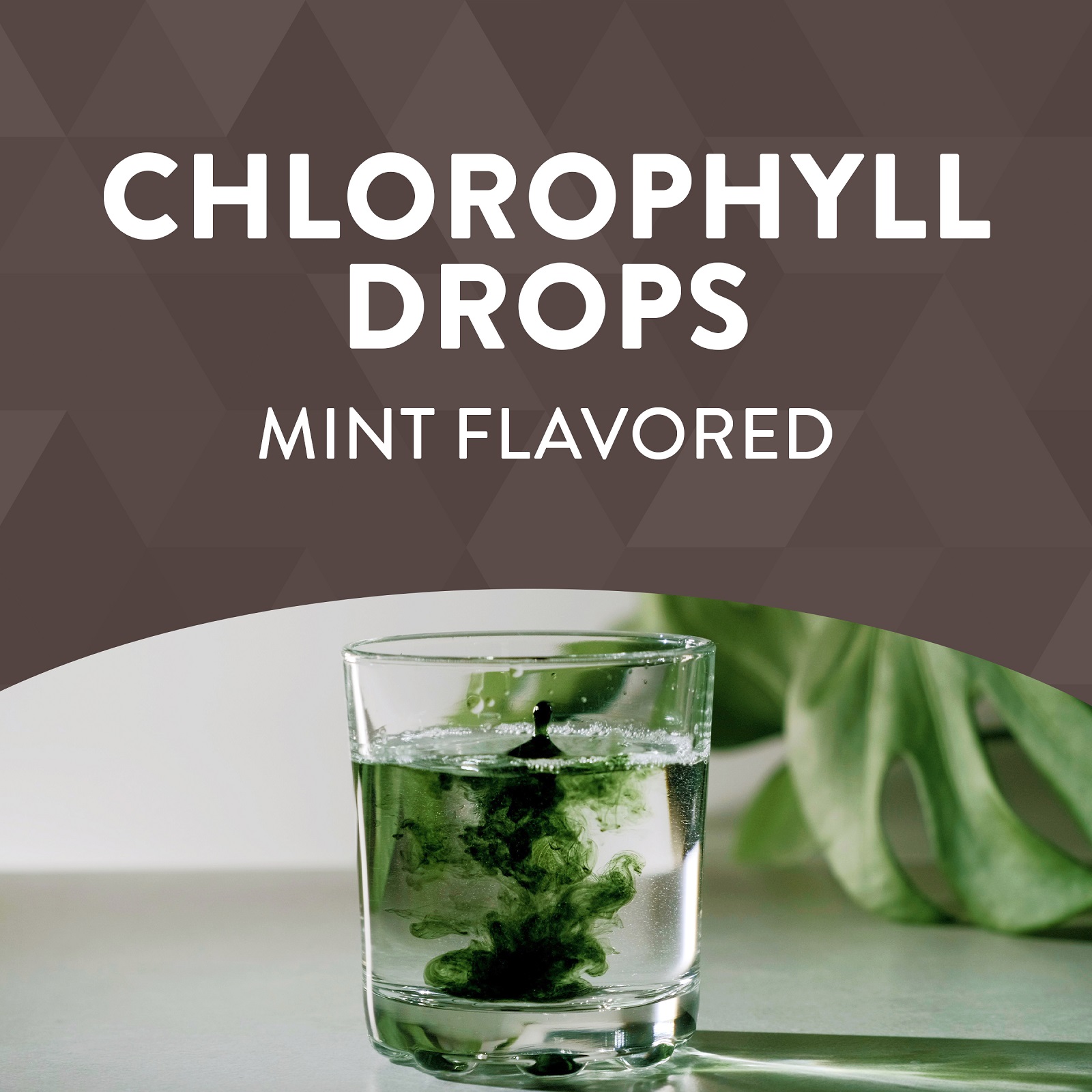 Nature's Way, Chlorofresh, Chlorophyll Drops, Mint, 2 fl oz (59 ml)
