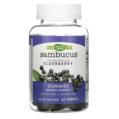 Nature's Way Sambucus, стандартизированный экстракт бузины, 60 жевательных таблеток