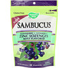 Nature's Way, Sambucus, Zinc Lozenges, Mint Flavored, 24 Lozenges