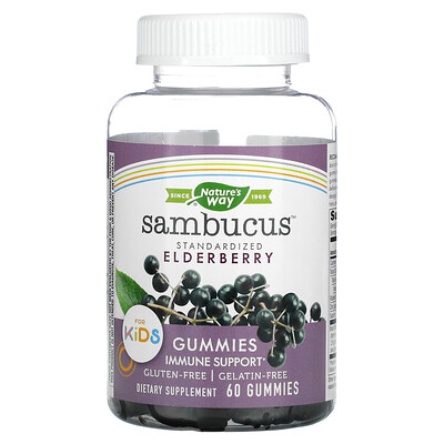 

Nature's Way Sambucus, стандартизированный экстракт бузины для детей, 60 жевательных конфет