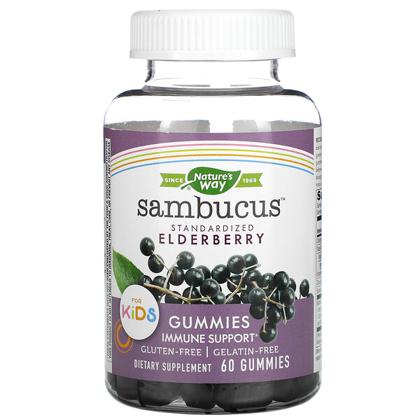 Nature's Way, Sambucus, стандартизированный экстракт бузины для детей, 60 жевательных таблеток