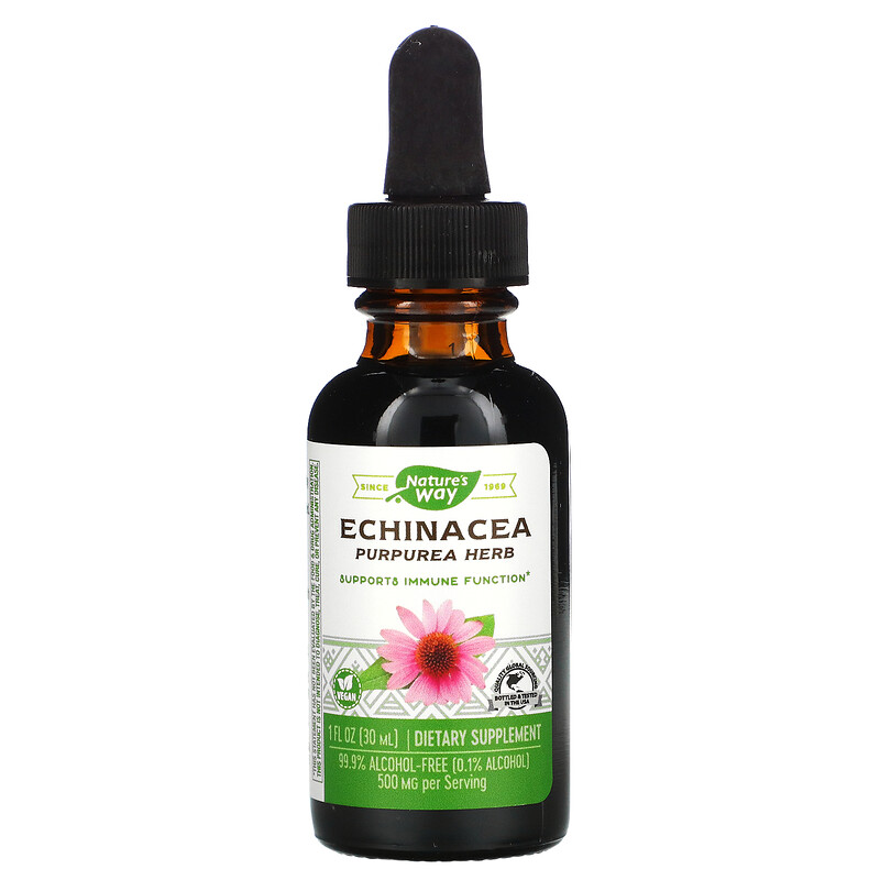 Nature's Way, Echinacea, 99.9% Alcohol Free, 1 fl oz (30 ml) - iHerb