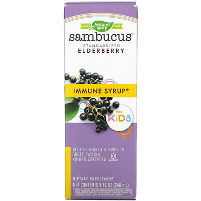 Nature's Way Sambucus для детей, стандартизированный экстракт бузины, оригинальный сироп, 240 мл (8 жидких унций)