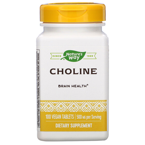 Nature's Way, Choline, 500 mg, 100 Vegan Tablets