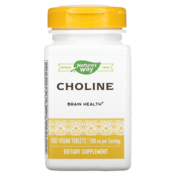 Nature's Way, Cholin, 500 mg, 100 vegane Tabletten