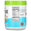 Orgain, Simple, Organic Plant Protein Powder, Peanut Butter, 1.25 lb (567 g)
