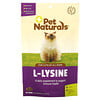 L-Lysine, For Cats, All Sizes, Chicken Liver, 250 mg, 60 Chews, 3.17 oz (90 g)