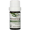 بارانورم, Essential Oil, Diffusion Blend, Purity, .17 fl oz (5 ml)