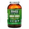 Pines International, Herbe de blé au pin, Poudre, 24 oz (680 g)